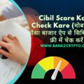 PaisaBazaar Cibil Score Check